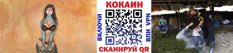 COCAIN 99% что такое наркотик Сысерть