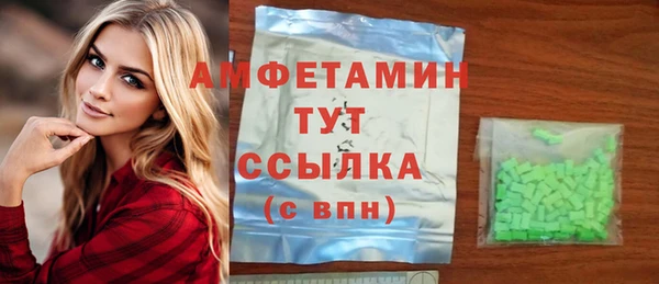 мет Алексин