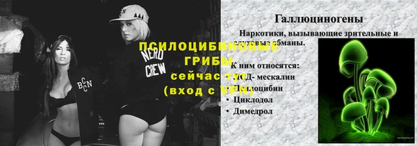 не бодяженный Алзамай
